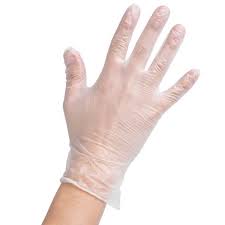 Powder Free Vinyl Gloves - Large